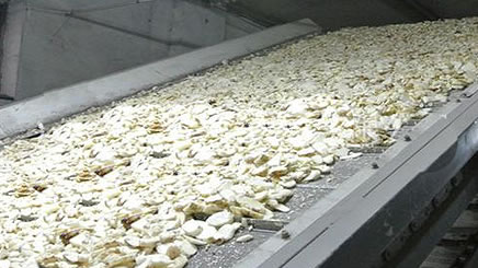 帶式山藥烘干機(jī)